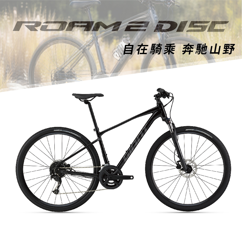 GIANT ROAM 2 DISC - PChome 24h購物