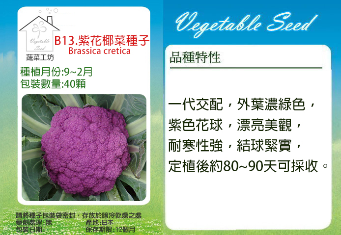 B13 紫花椰菜種子40顆 Pchome 24h購物