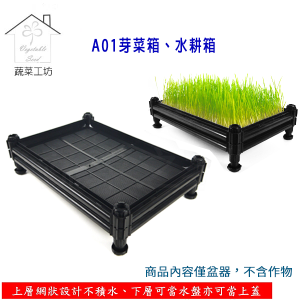 蔬菜工坊 A01芽菜箱 水耕箱 家庭式多用途芽菜培育箱 Pchome 24h購物