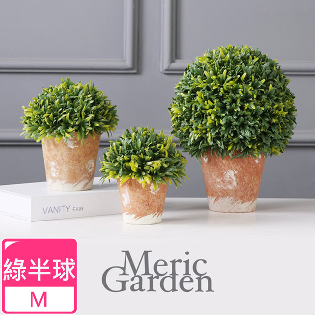 Diy盆栽 懶人盆栽 Pchome 24h購物