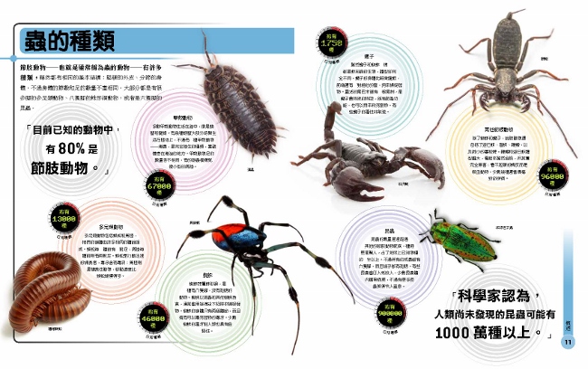 超能力昆蟲百科 地球上最大 最快 最致命的昆蟲與節肢動物 Pchome 24h書店