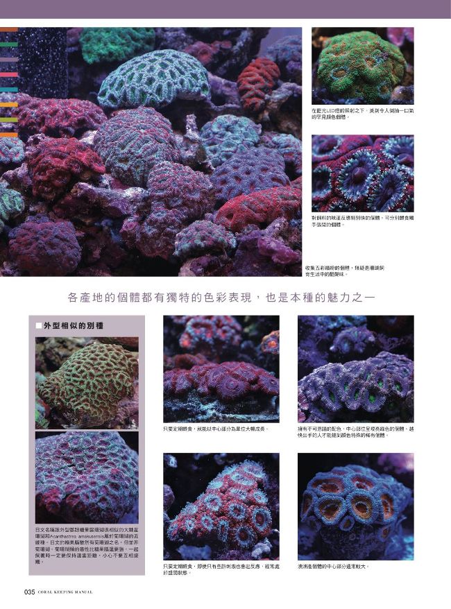 給新手的珊瑚飼育指南 Pchome 24h書店