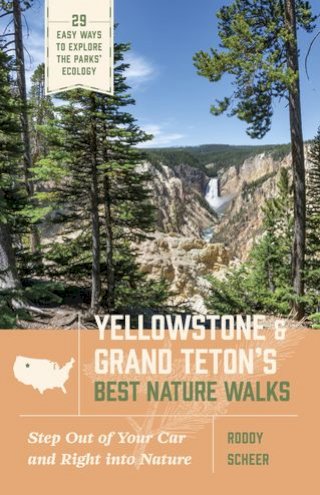 Yellowstone and Grand Teton’s Best Nature Walks(Kobo/電子書)