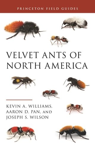 Velvet Ants of North America(Kobo/電子書)