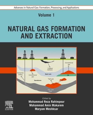 Advances in Natural Gas: Formation, Processing and Applications. Volume 1: Natural Gas Formation and Extraction(Kobo/電子書)