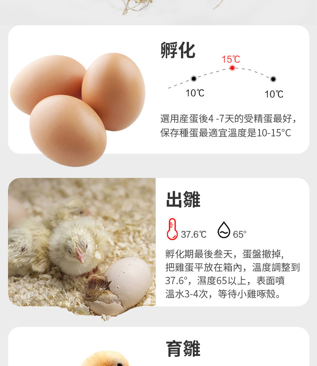 孵化機孵蛋器110v自動雞蛋孵化器24枚蛋鳥蛋鸡鸭家禽全自動孵蛋器雞蛋孵化箱雙電設計 Pchome 24h購物 孵化機孵蛋器110v自動雞蛋孵化器24枚蛋鳥蛋鸡鸭家禽全自動孵蛋器雞蛋孵化箱雙電設計 Pchome 24h購物