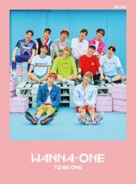 出産祝いなども豊富 Wanna One (台湾特別盤) UNDIVIDED』 『1÷χ=1 K