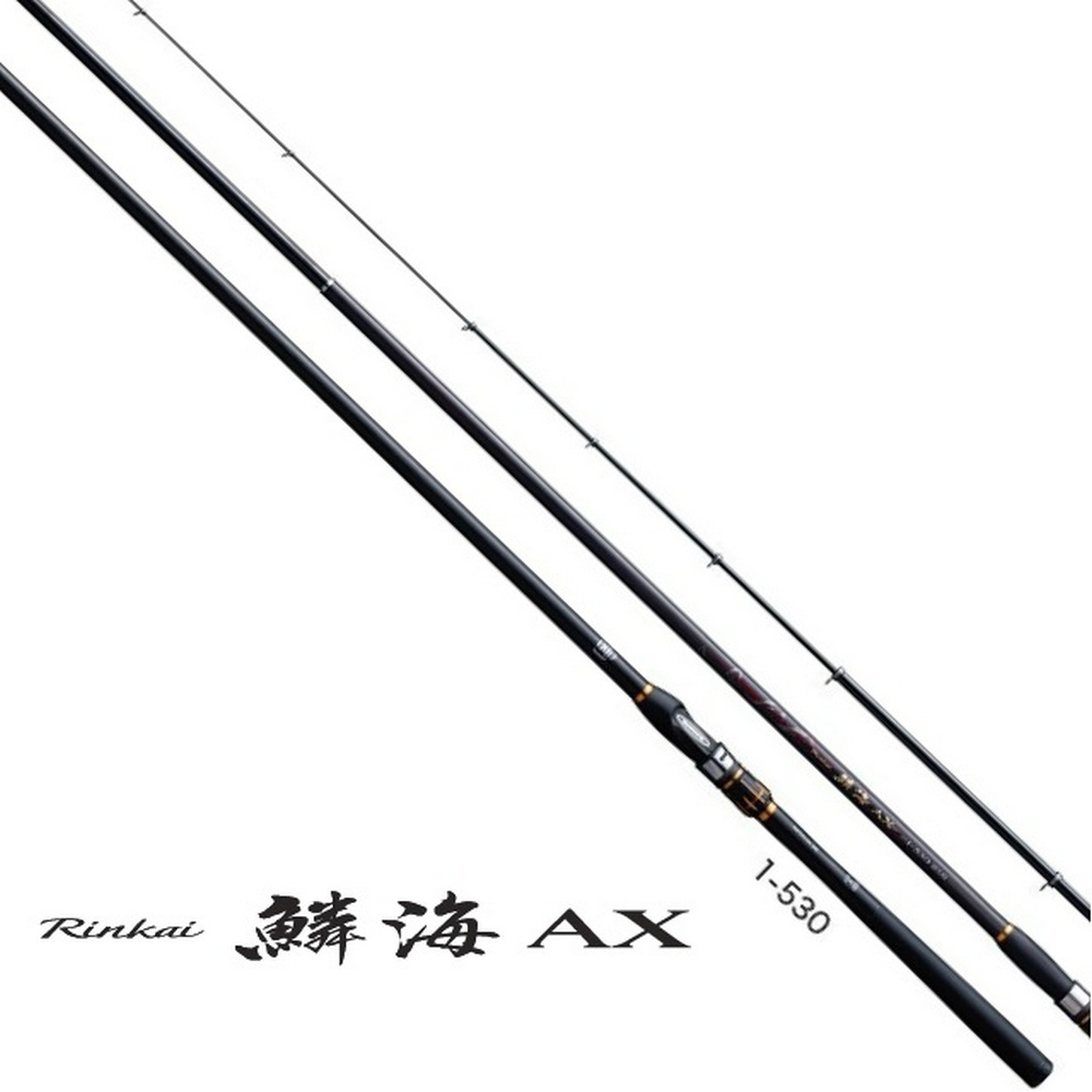 SHIMANO RINKAI ARTLETA 磯竿 1-530 【公式通販】